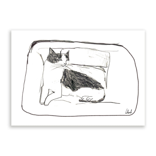Cat On The Couch Print