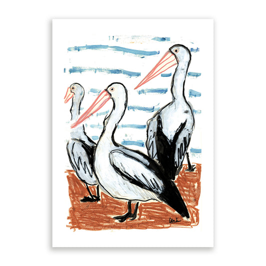 Pelicans Print