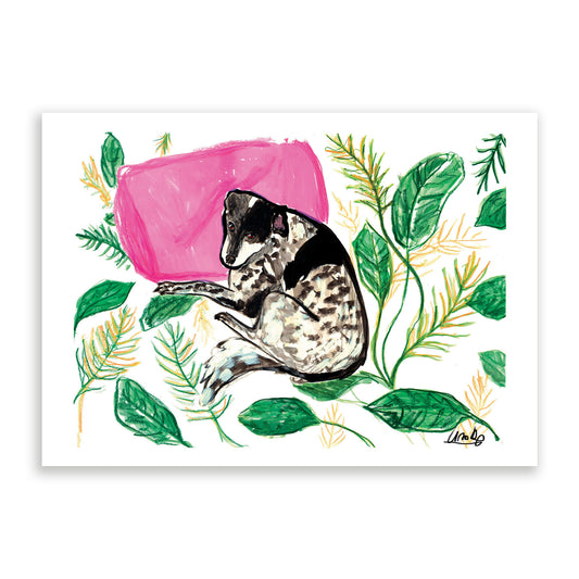 Sordi On The Couch Print